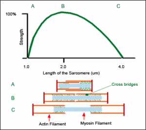 device based exercise therapy to treat pain