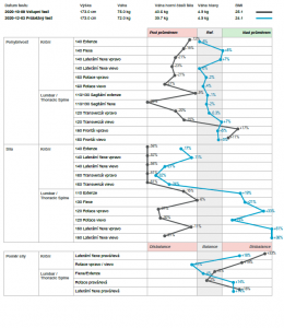 back pain progress report with medical exercise therapy