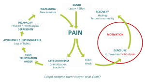 pain cycle graph